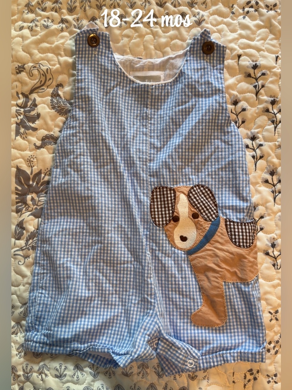 Cactus Blue Gingham Toddler Romper